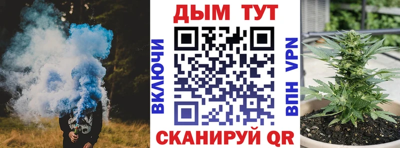 Шишки марихуана VHQ  Купить закладки  Новороссийск 